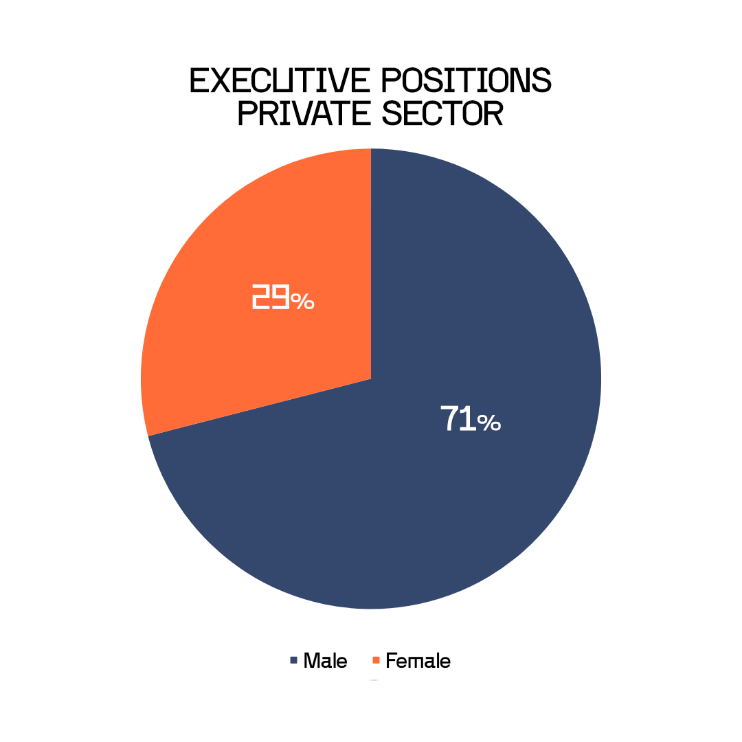 EXECUTIVE-POSITIONS-PRIVATE-SECTOR