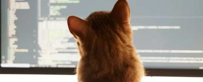 Fix Collaboration Issues: he cat reviews code
